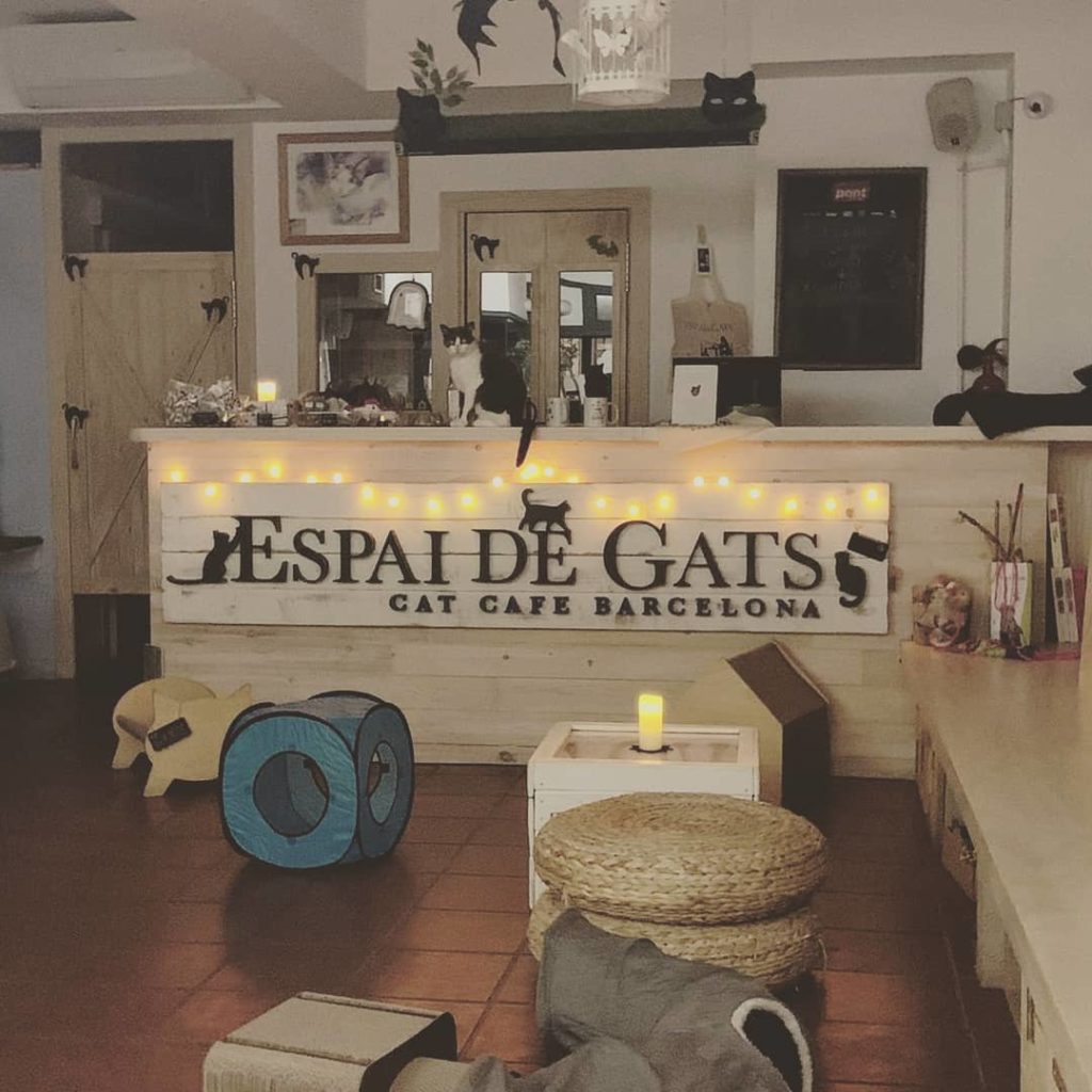 cafetería en barcelona