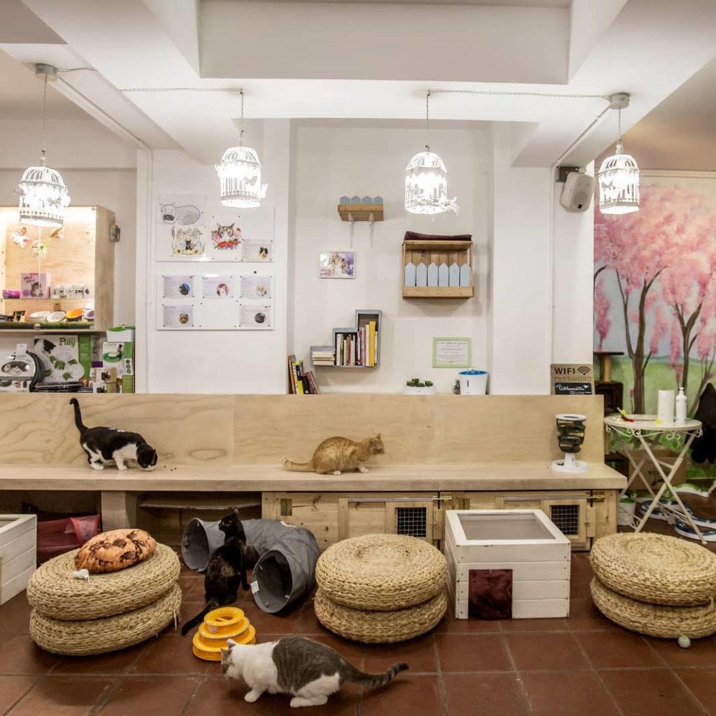 cafetería en barcelona